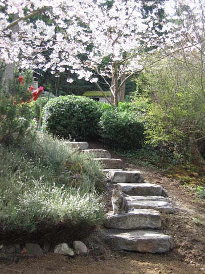 one of two stone pathways between the upper and lower yard