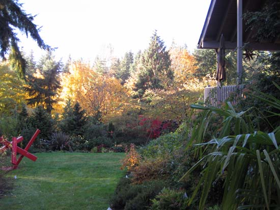 a shot of the side yard before the deck was extended