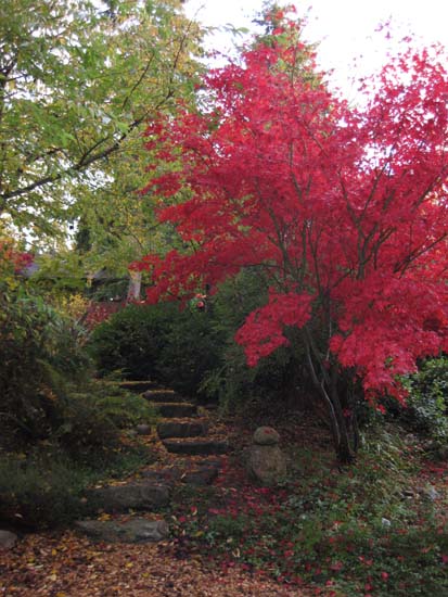 fall stone pathway