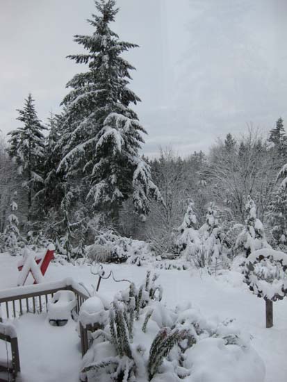 last winter's snow storm. I would take pictures and base the accumulation by the height of the snow on the chair