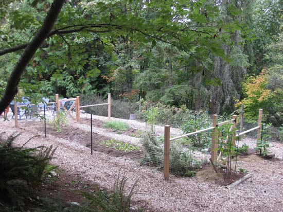 the newly fenced vegetable garden