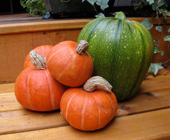 Kabocha Squash